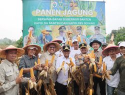 Intensifikasi Lahan, Gubernur Banten Andra Soni: Untuk Menuju Swasembada Pangan