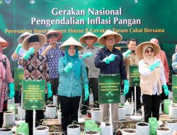 Ketua TP PKK Provinsi Banten Tinawati Andra Soni Ajak Ibu Rumah Tangga Memaksimalkan Pekarangan Rumah