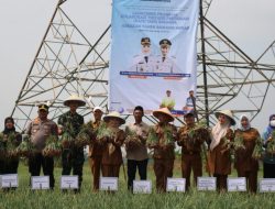 Kodim 0602/Serang Terus Mendukung Program Pemkab Serang Di Bidang Ketahanan Pangan