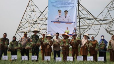 Kodim 0602/Serang Terus Mendukung Program Pemkab Serang Di Bidang Ketahanan Pangan