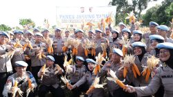 Bidpropam Polda Banten Gelar Panen Jagung, Dorong Program Swasembada Pangan Nasional